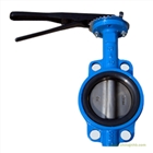 軟密封蝶閥D71X,D71F