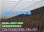 溫室建設(shè)  全鋼架溫室大棚   壽光市萬禾農(nóng)業(yè)