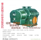 章丘鳳翔三葉鼓風機密集型直聯(lián)式