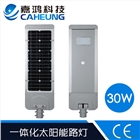 太陽能路燈系列 經(jīng)久耐用 多年成功經(jīng)驗(yàn)_深圳嘉鴻