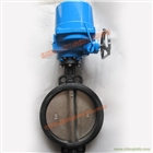 電動蝶閥  D971X-16  （大型電裝）