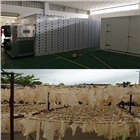 豬皮烘干機(jī)