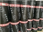 SBS改性瀝青防水卷材廠家