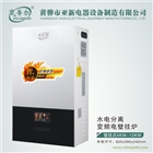 智能變頻家用電采暖爐省電電鍋爐