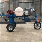供應(yīng)四輪打藥機(jī) 小型自走式噴霧器 打藥機(jī)廠家